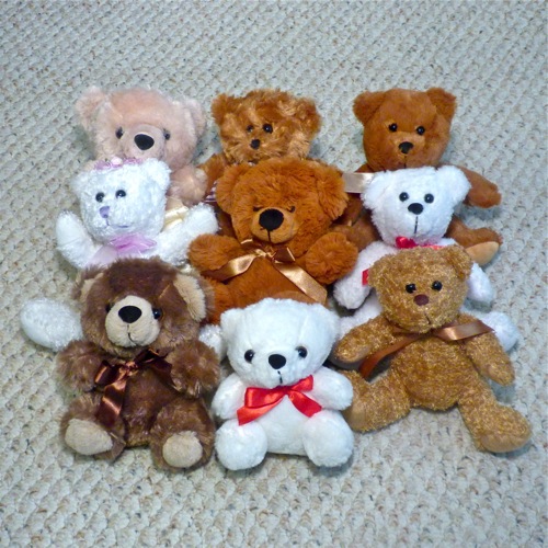 different types of teddy bear